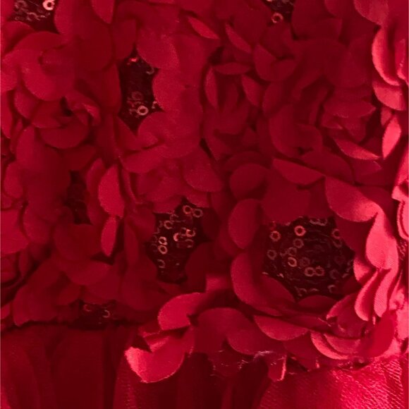 Zunie Girls Christmas Style Sequin Tulle Dress-Red-Size 12-GUC - Picture 7 of 10